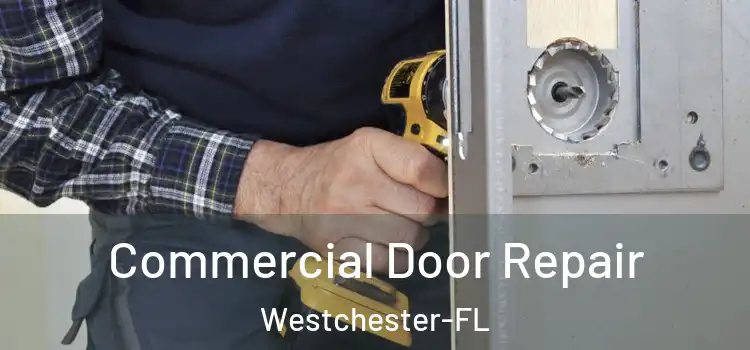 Commercial Door Repair Westchester-FL