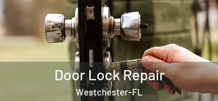 Door Lock Repair Westchester-FL