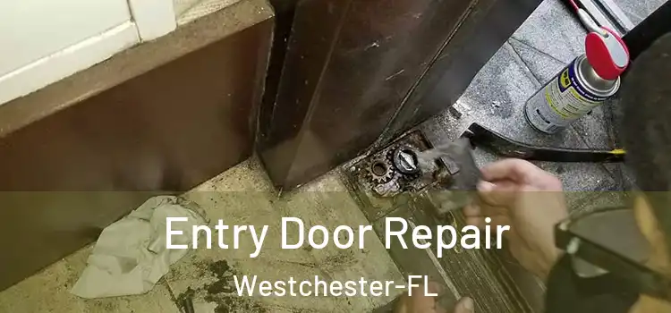 Entry Door Repair Westchester-FL