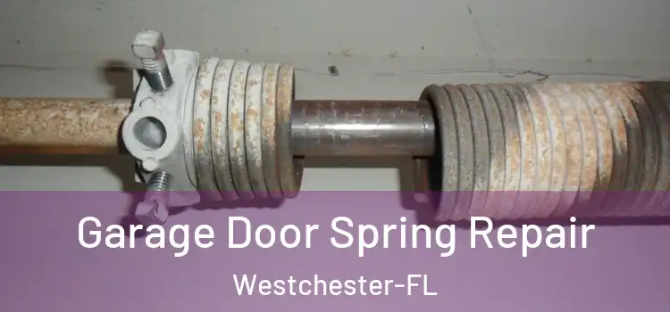 Garage Door Spring Repair Westchester-FL