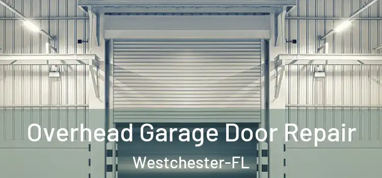 Overhead Garage Door Repair Westchester-FL