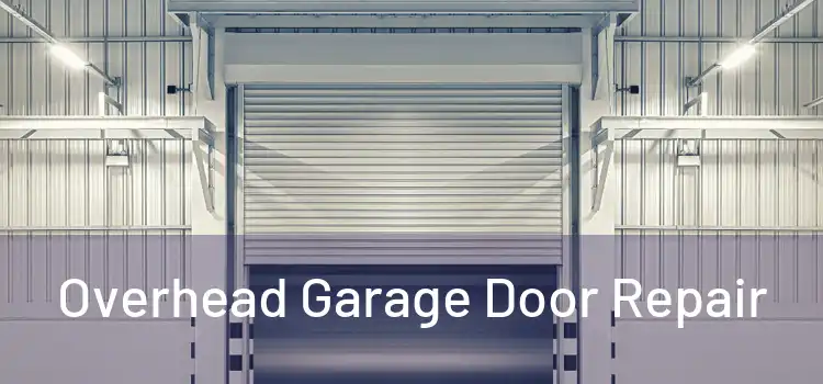 Overhead Garage Door Repair