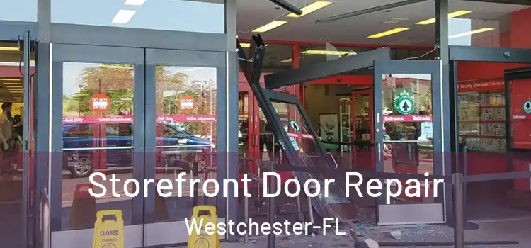 Storefront Door Repair Westchester-FL